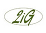 2iG